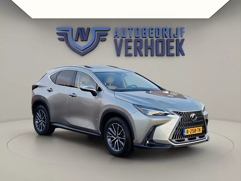Lexus NX 450h+ AWD Launch Edition NL Auto - Schuifdak