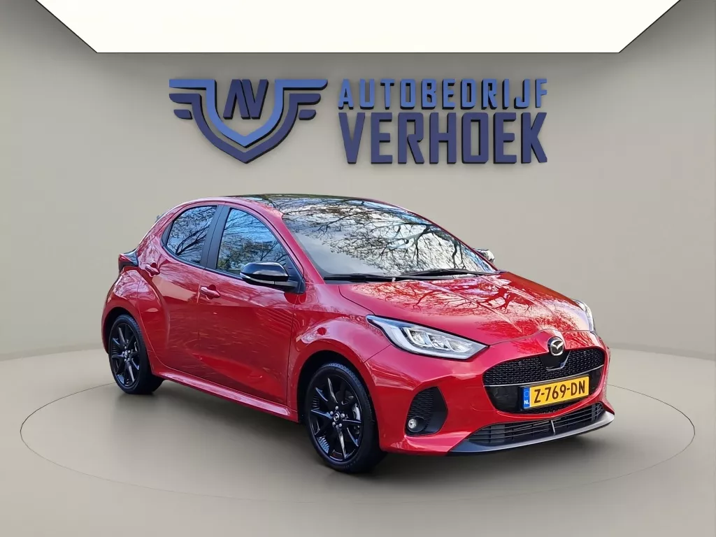 Toyota Yaris 1.5 Hybrid 115 Executive Trekhaak - Panodak - NL Auto